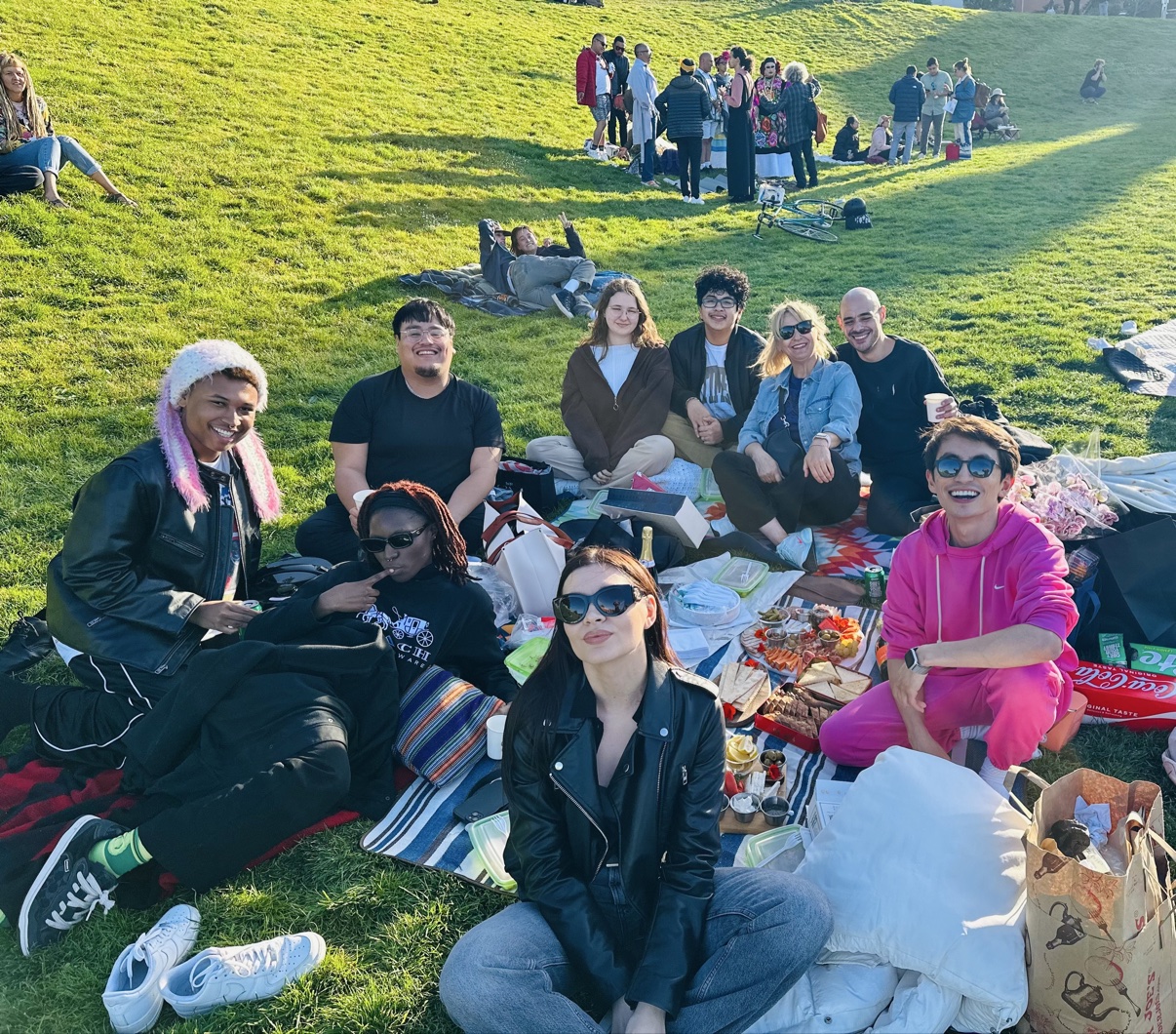 The store team picnicking on the Dolores Park hillside — everyone's face playfully replaced with a big emoji sticker head